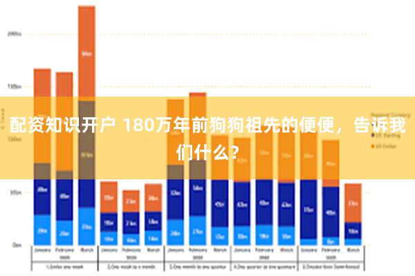 配资知识开户 180万年前狗狗祖先的便便,告诉我们什么?