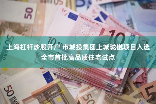上海杠杆炒股开户 市城投集团上城珑樾项目入选全市首批高品质住宅试点
