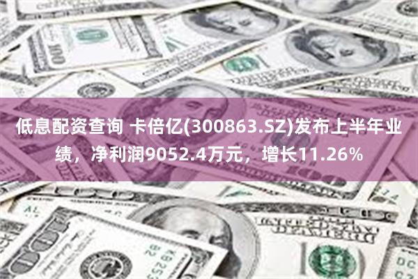 低息配资查询 卡倍亿(300863.SZ)发布上半年业绩，净利润9052.4万元，增长11.26%