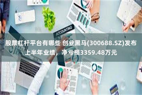 股票杠杆平台有哪些 创业黑马(300688.SZ)发布上半年业绩，净亏损3359.48万元