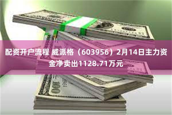配资开户流程 威派格（603956）2月14日主力资金净卖出1128.71万元