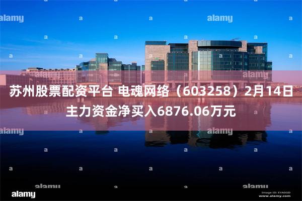 苏州股票配资平台 电魂网络（603258）2月14日主力资金净买入6876.06万元