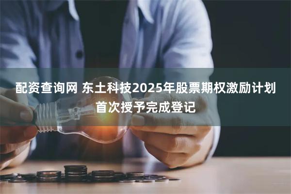 配资查询网 东土科技2025年股票期权激励计划首次授予完成登记